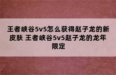 王者峡谷5v5怎么获得赵子龙的新皮肤 王者峡谷5v5赵子龙的龙年限定